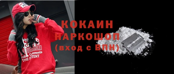 гидра Горнозаводск