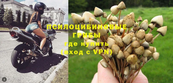 каннабис Горно-Алтайск