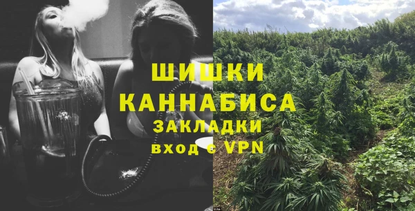 бошки Вяземский