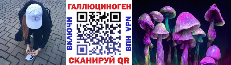 Псилоцибиновые грибы Magic Shrooms  продажа наркотиков  Копейск 